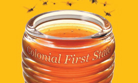 Campaigns | Colonial First State >